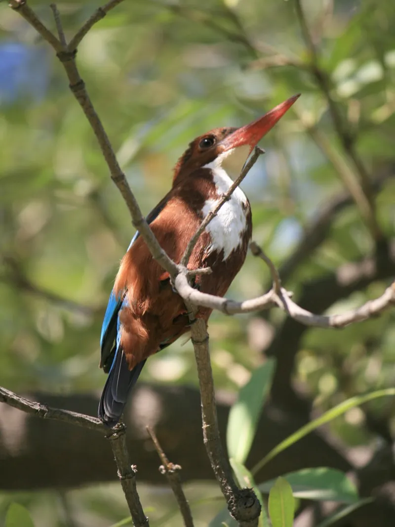 Photograph by Piyush Grover (7)