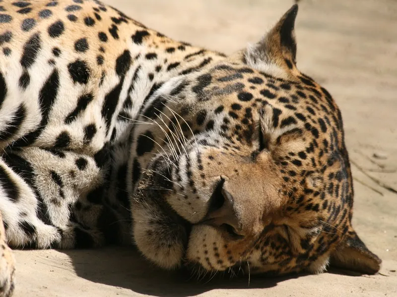 Photograph by Piyush Grover (2)
